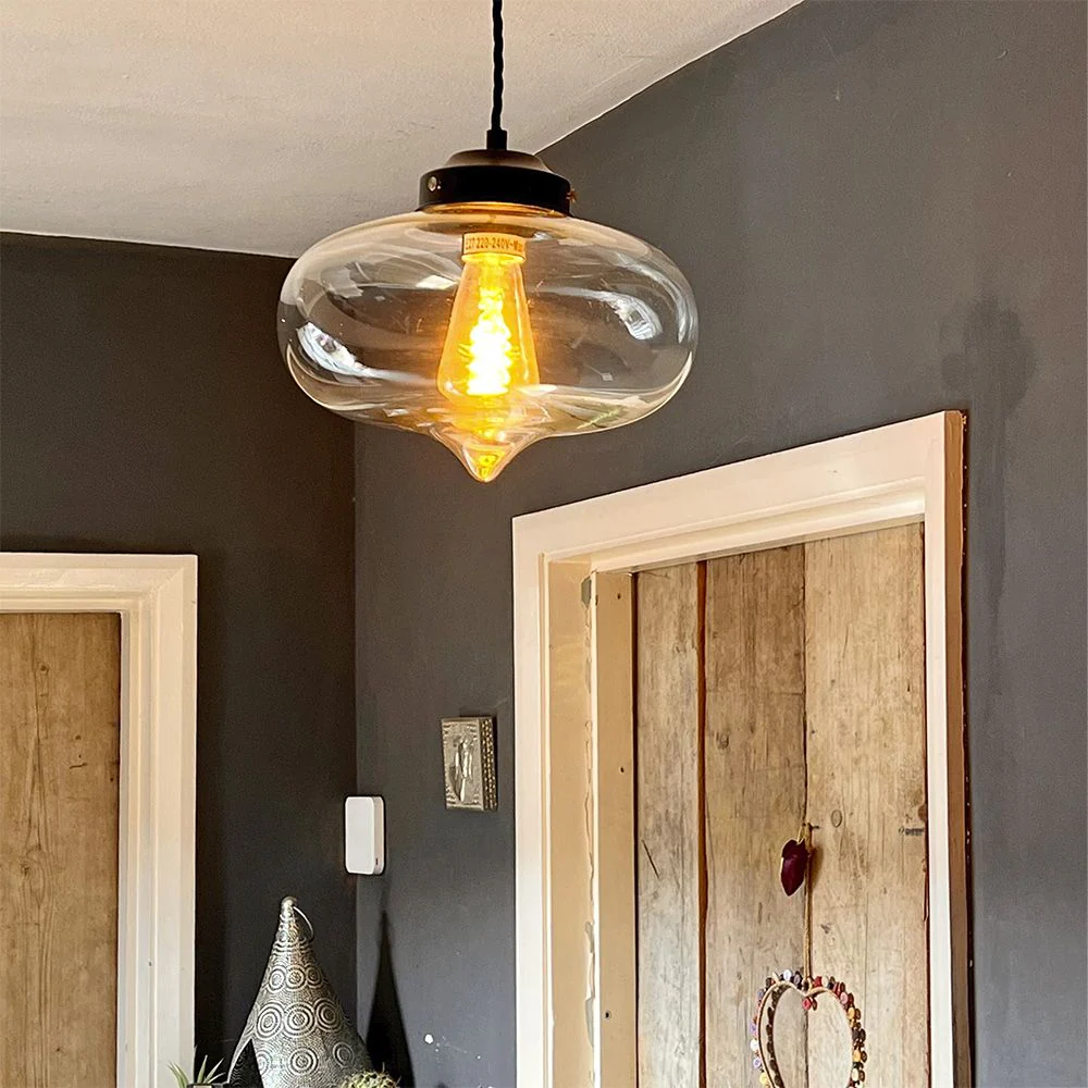 Goslett Clear Blown Glass Fish Bowl Pendant Light - Image 2