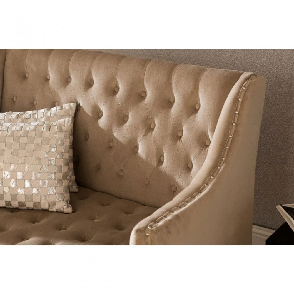 Regents Park Camel Velvet 2 Seat Sofa - Image 4