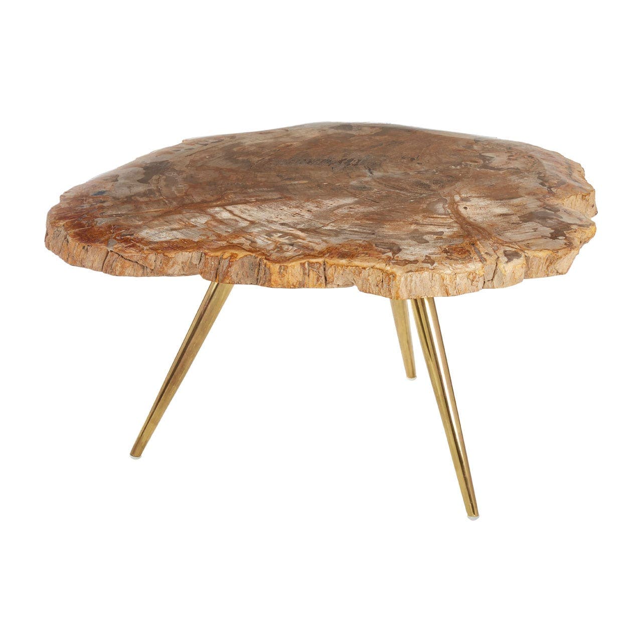 Relic Petrified Wood Coffee Table - Image 3