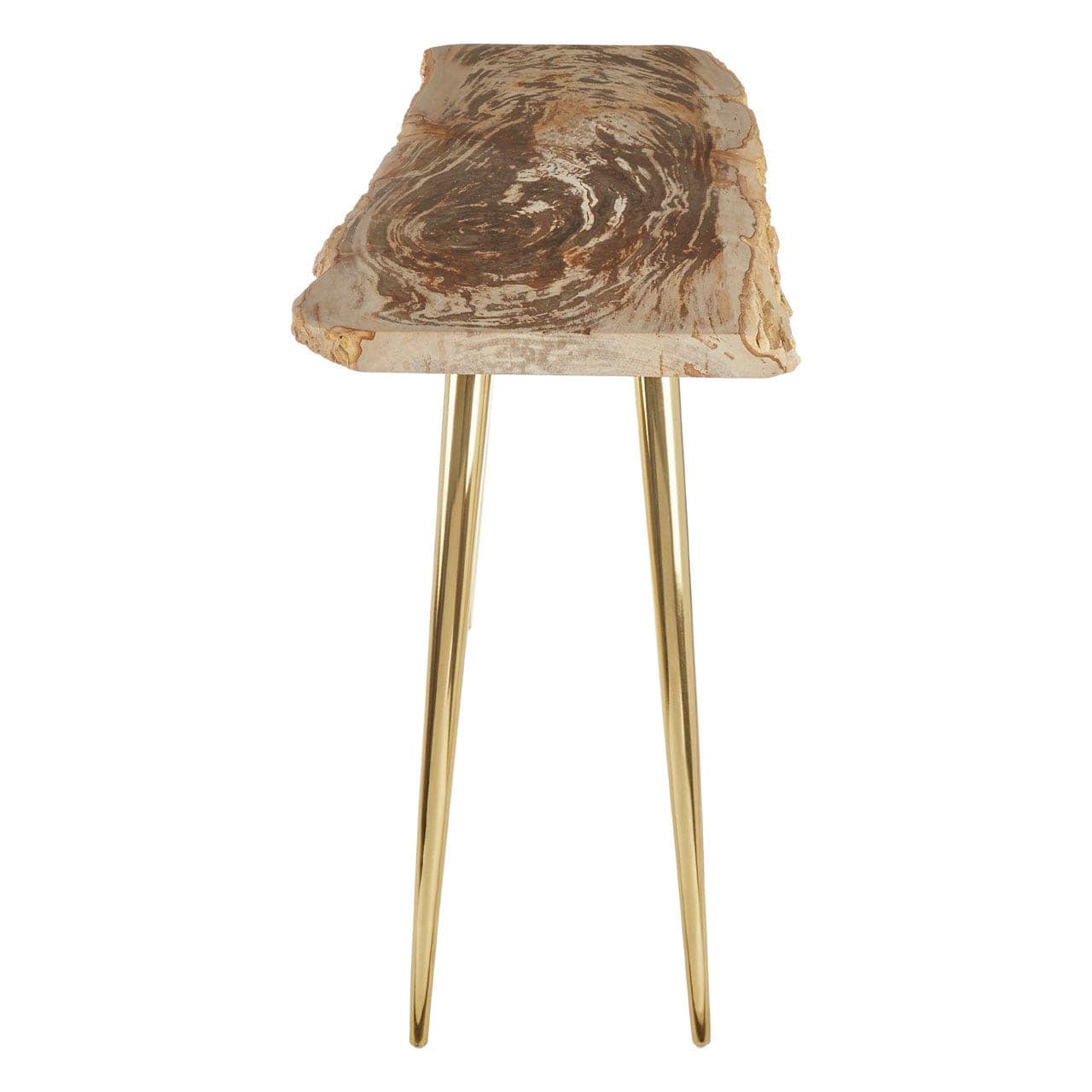 Relic Petrified Wood Console Table - Image 3