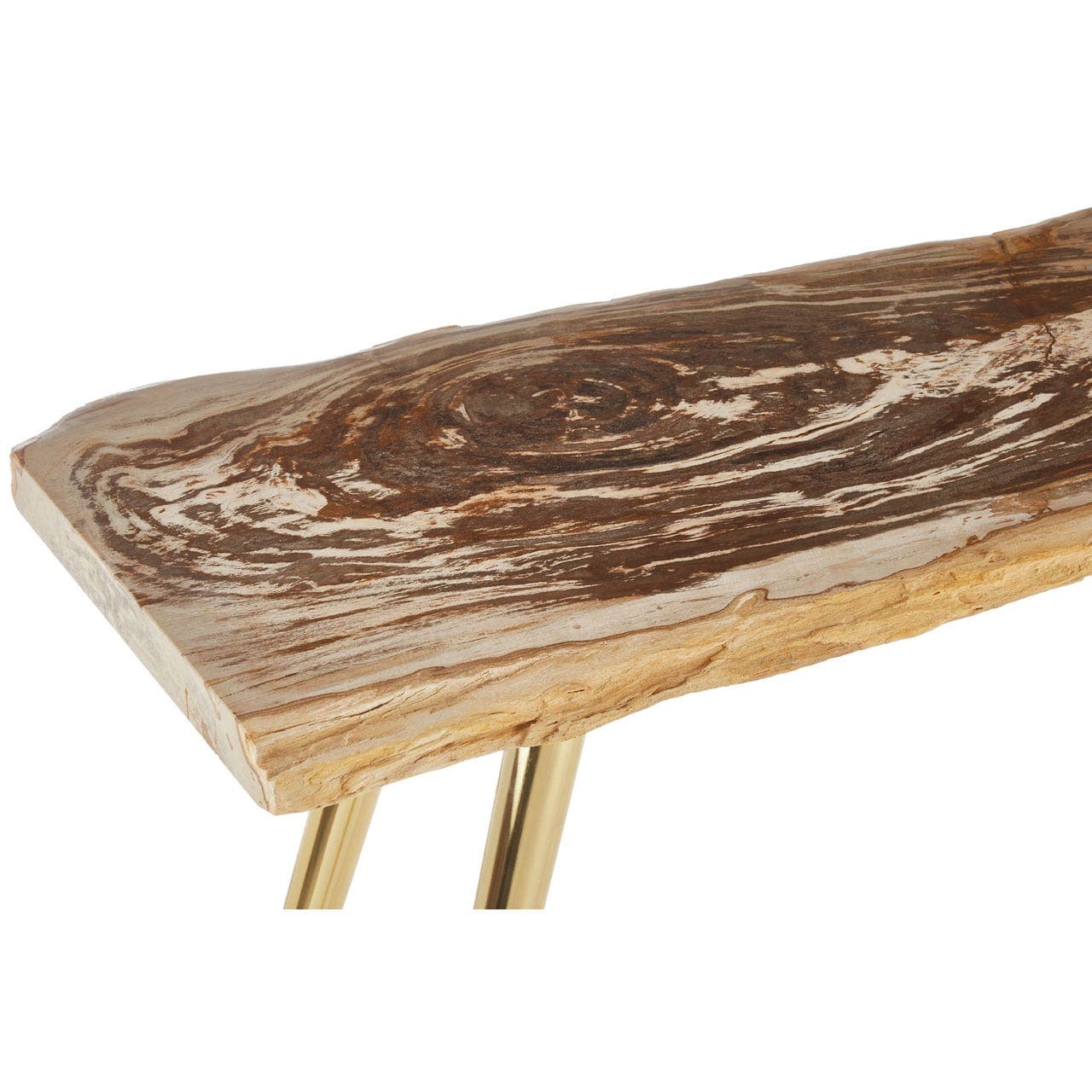 Relic Petrified Wood Console Table - Image 5