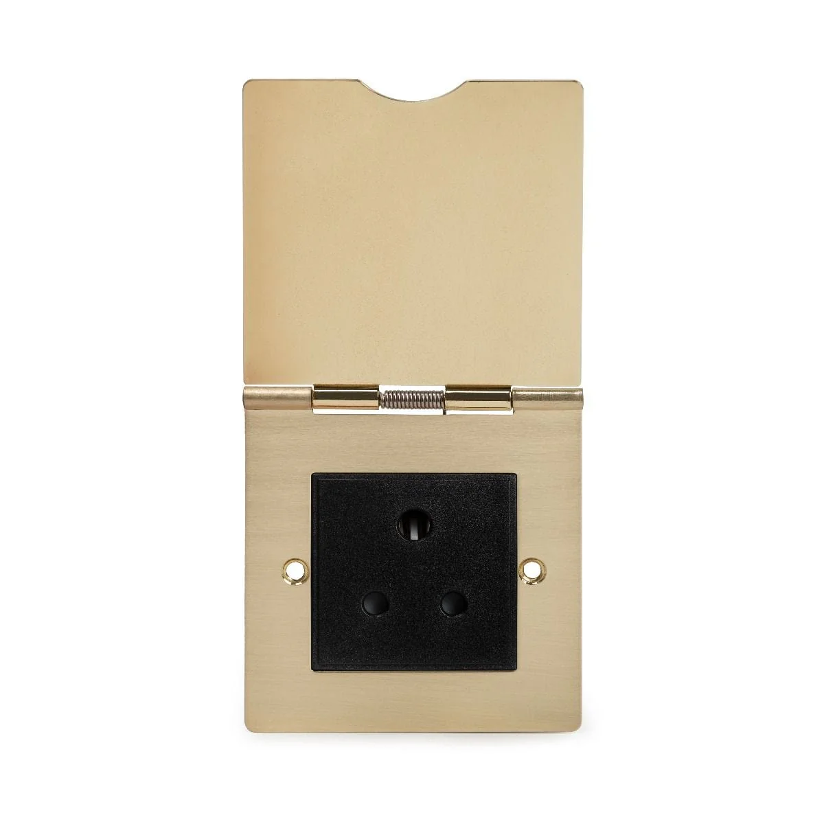 Screwless Brushed Brass 5 Amp Floor Socket - Black